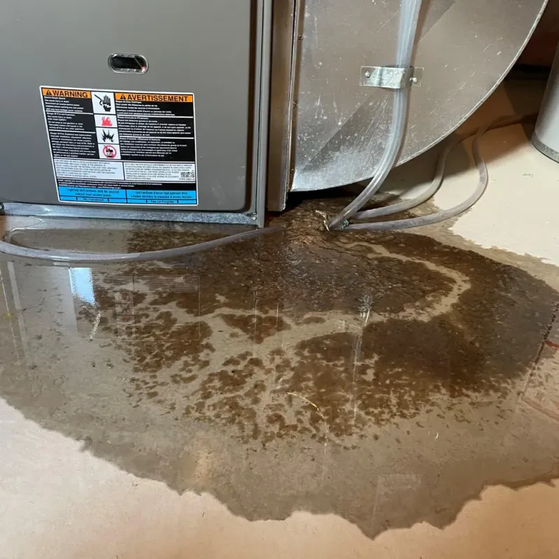 Appliance Leak Cleanup in Coffey County, KS